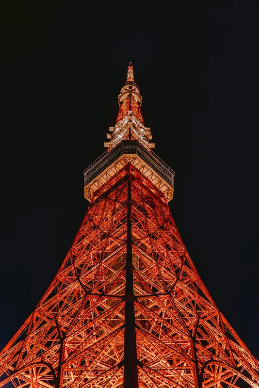 Dwayne.Tokyo Premium Domain